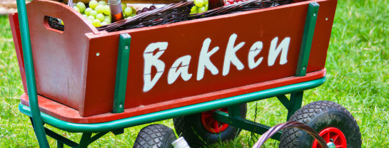 Bakken Mad Drikkevarer Picnic Traekvogn