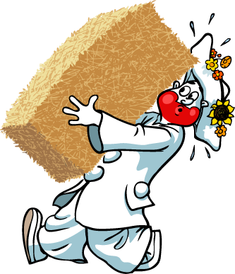 Pjerrot Halmballe.png