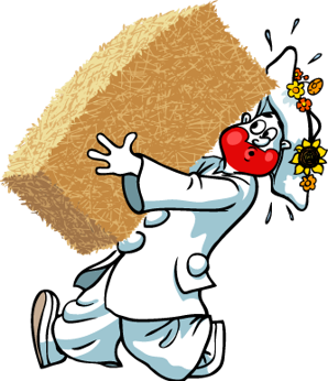 Pjerrot Halmballe.png