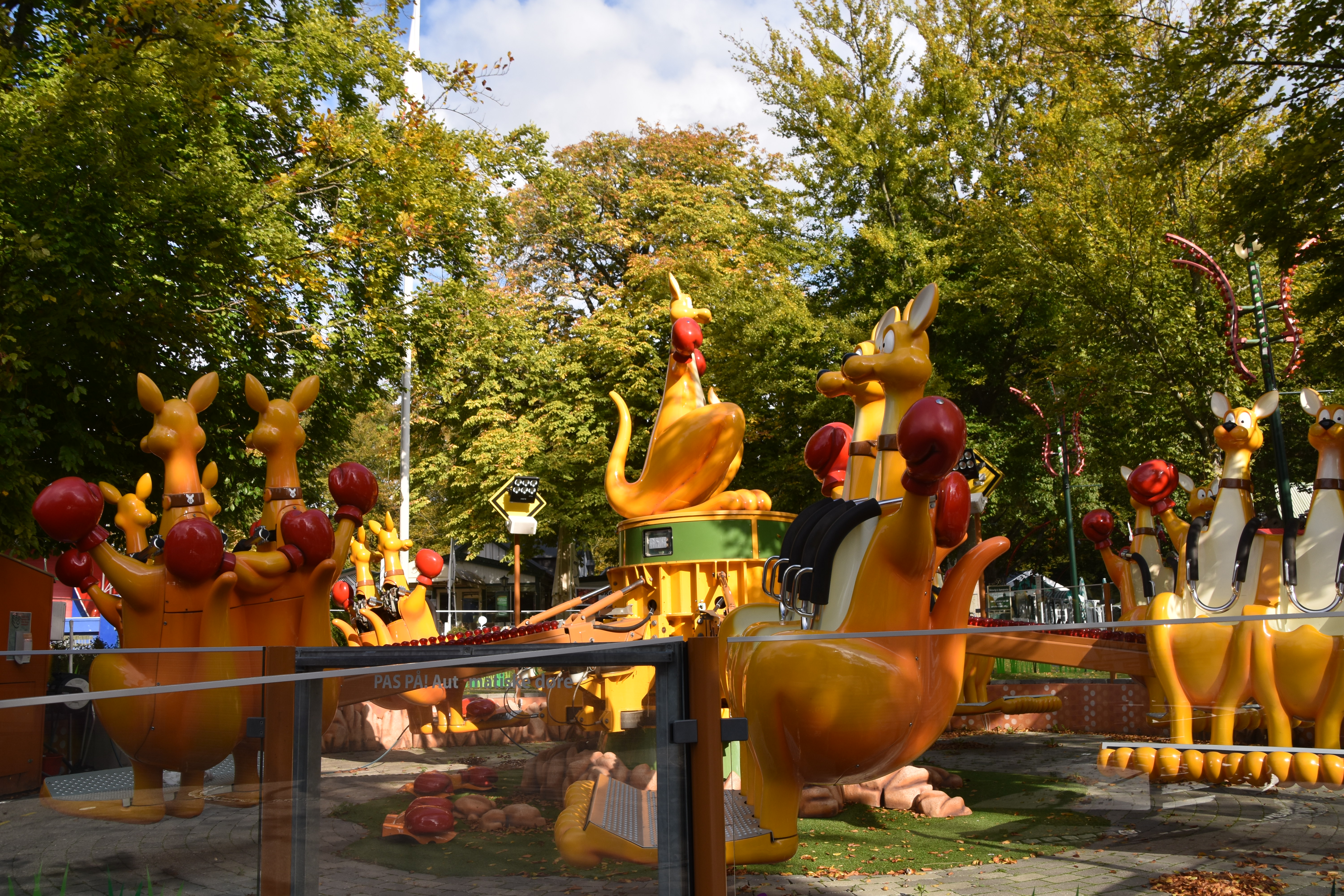 DSC_1780.JPG
