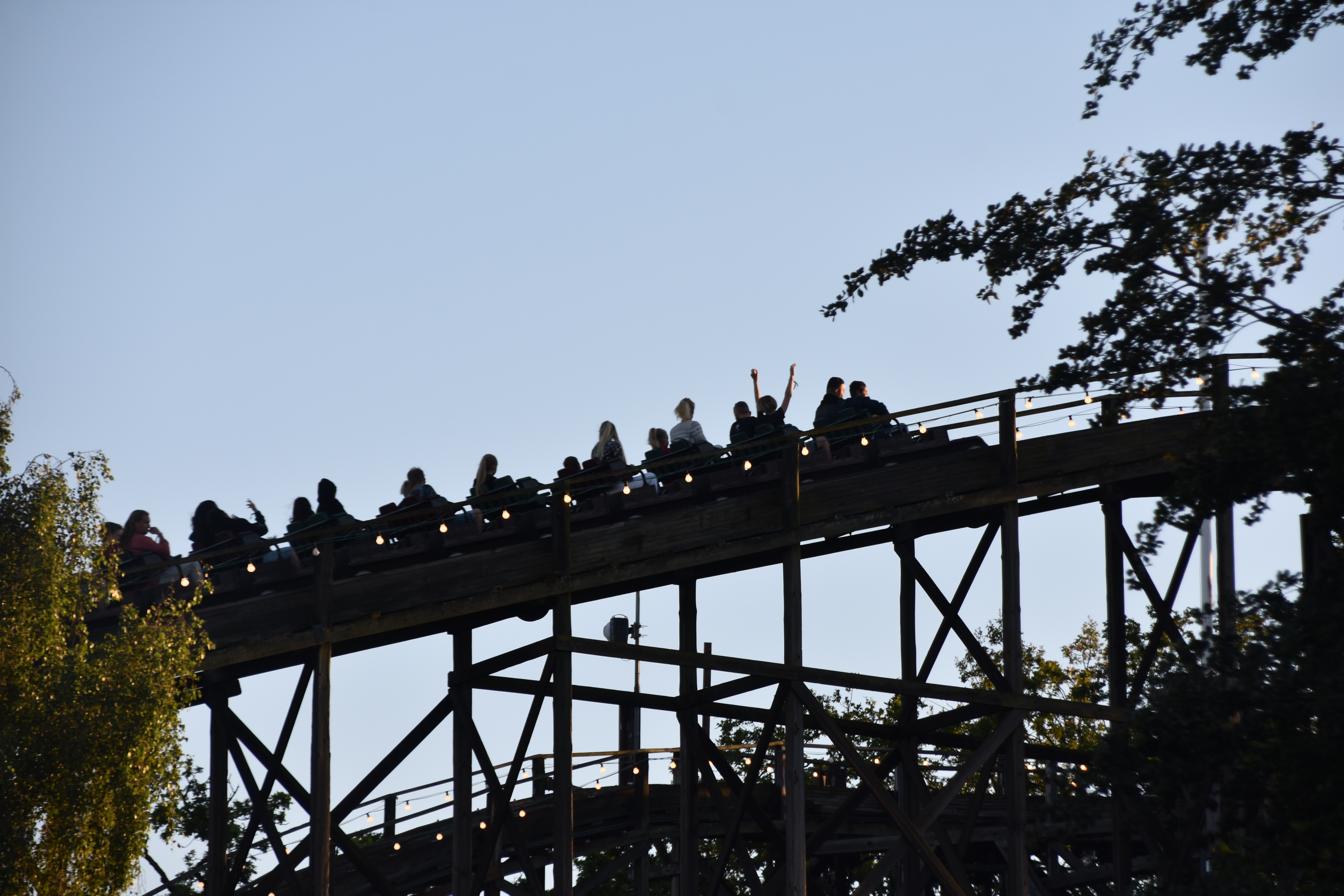 DSC_1095.JPG