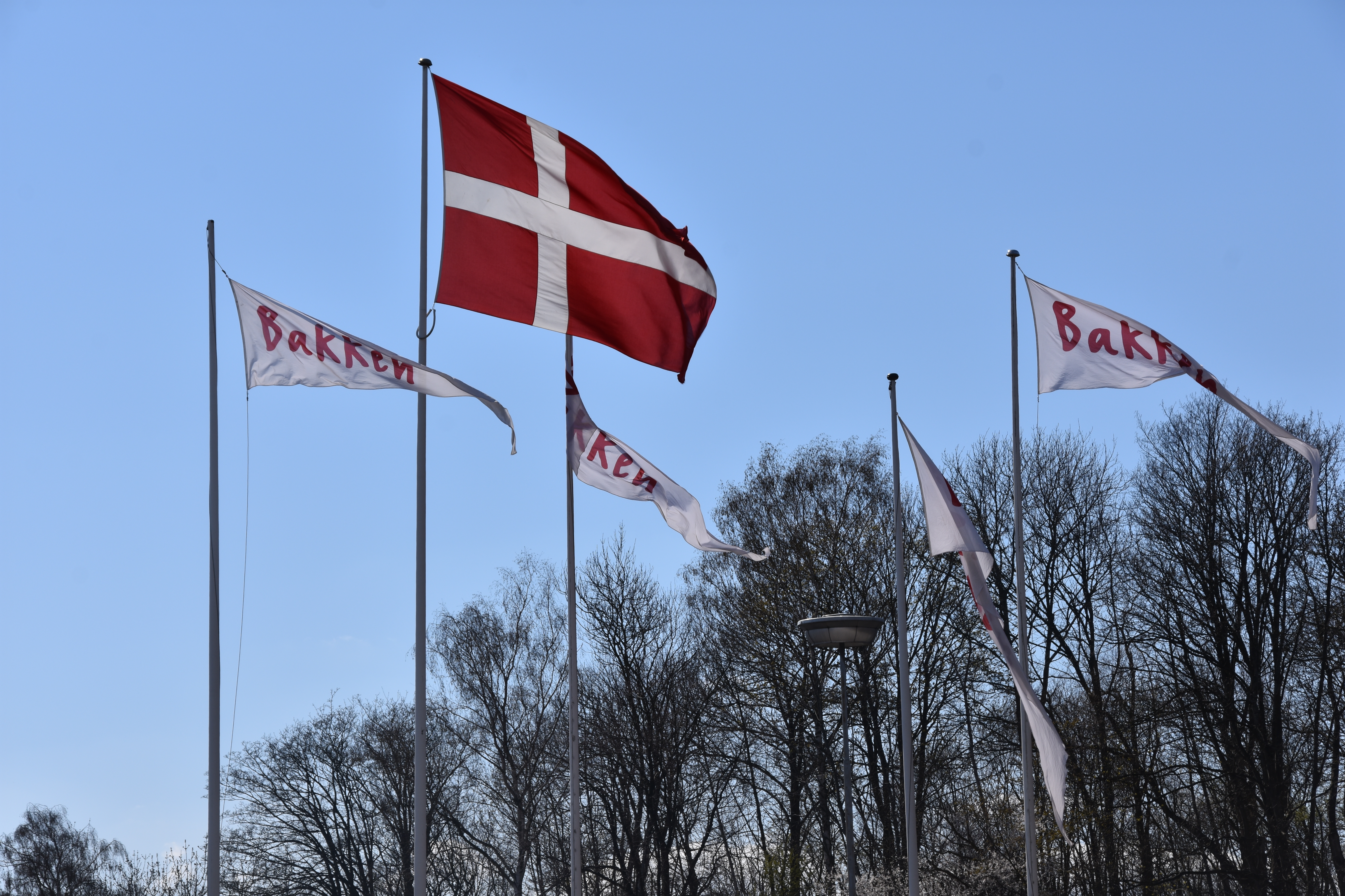 DSC_0561.JPG